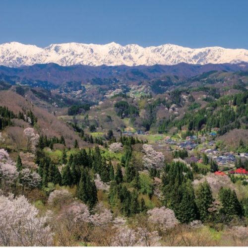 非公開: 長野県 長野市、山桜が咲く山里と北アルプスの絶景【ほっとphoto便り】