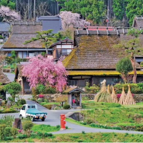 サクラの絶景！京都府 南丹市（なんたんし）、自然の色彩豊かなかやぶきの里【ほっとphoto便り】