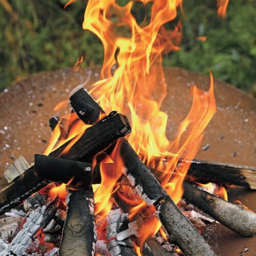 焚き火の薪の選び方／樹種による燃え方の特徴をマスター