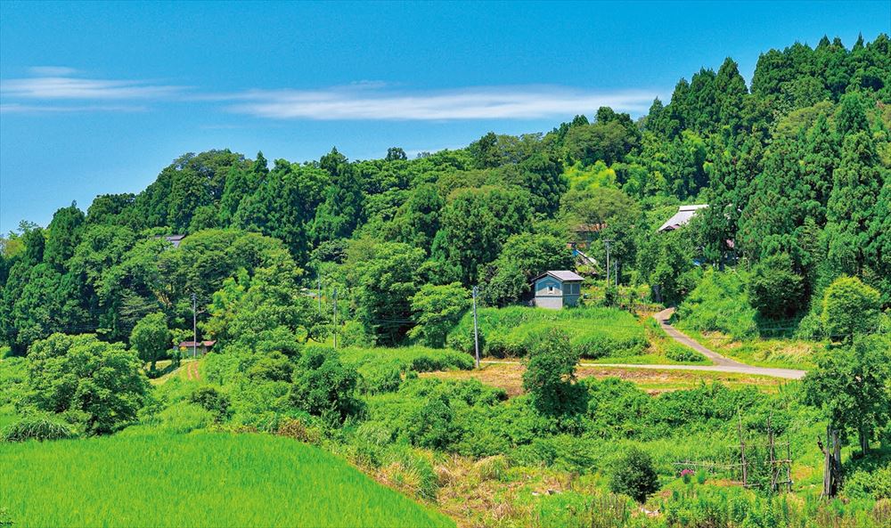 下牧集落は多くの登山客が訪れる米山の麓にある。緑の木々と田んぼの中に家が点在。