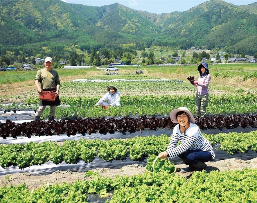 脱東京した女性の挑戦！ 安曇野で農家になり、ヨーロッパ野菜を仲間と生産【長野県安曇野市】｜仕事｜田舎暮らしの本 Web【宝島社公式】