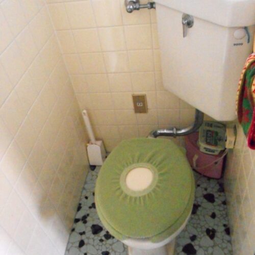 群馬県安中市の物件のトイレ。