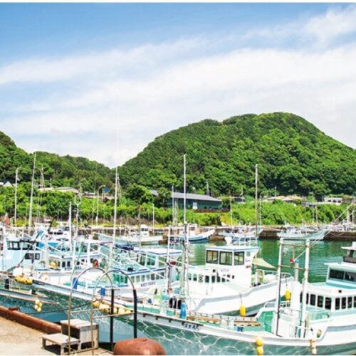 漁師の仕事、漁村の暮らしに興味がある人に、高知県オンライン漁業就業セミナー開催！