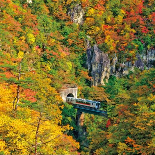 【絶景！】宮城県大崎市、紅葉に染まる大渓谷を過ぎていく秋と列車【ほっとphoto便り】
