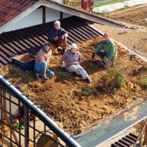 玄関づくり-草屋根【予算200万円】DIY経験しかないスタッフが廃材で家を建ててみた【49】
