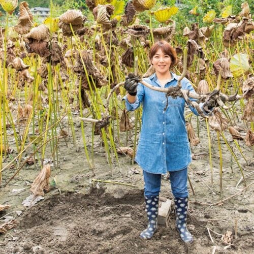 「ママの野菜は世界一！」。苦難を経てレンコン農家へ【奈良県山添村】