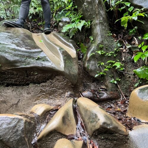 歩きやすいように岩が人の手によって削られた部分（写真上部）と踏圧によって形が変わってしまった岩（写真下部）