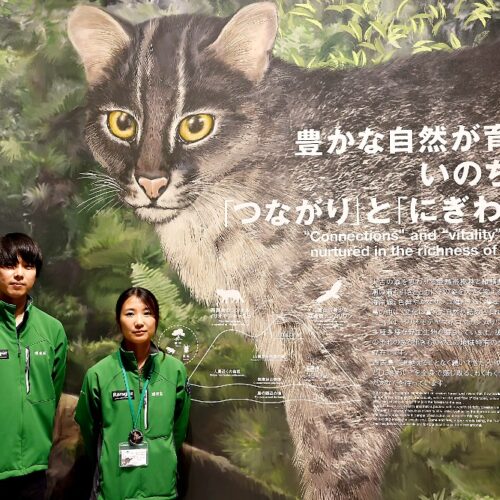 西表野生生物保護センターの内野祐弥さん（写真左）と田中詩織さん（写真右）