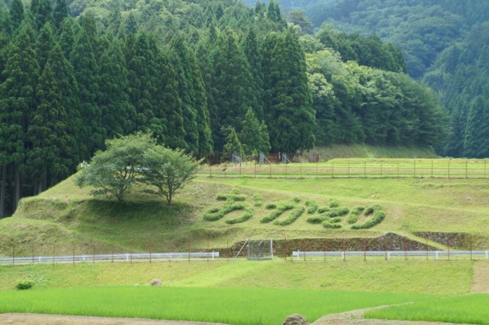 兵庫県豊岡市の畦畔アート