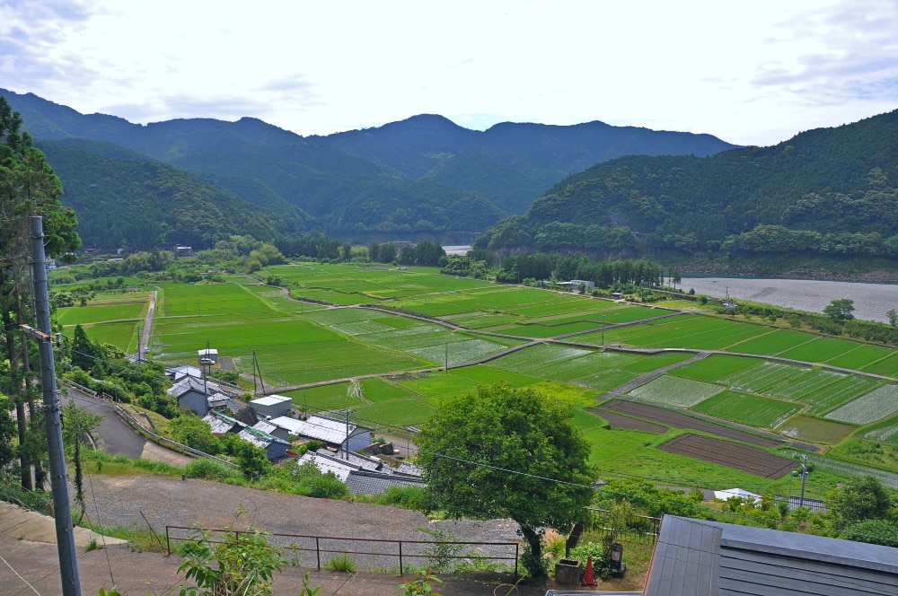 三重県紀宝町の田園風景