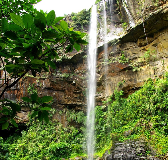 沖縄県竹富町の西表島にあるピナイサーラの滝