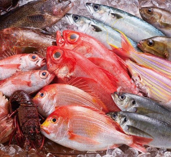 漁獲量長崎市は、漁獲量全国2位、魚種は全国1位