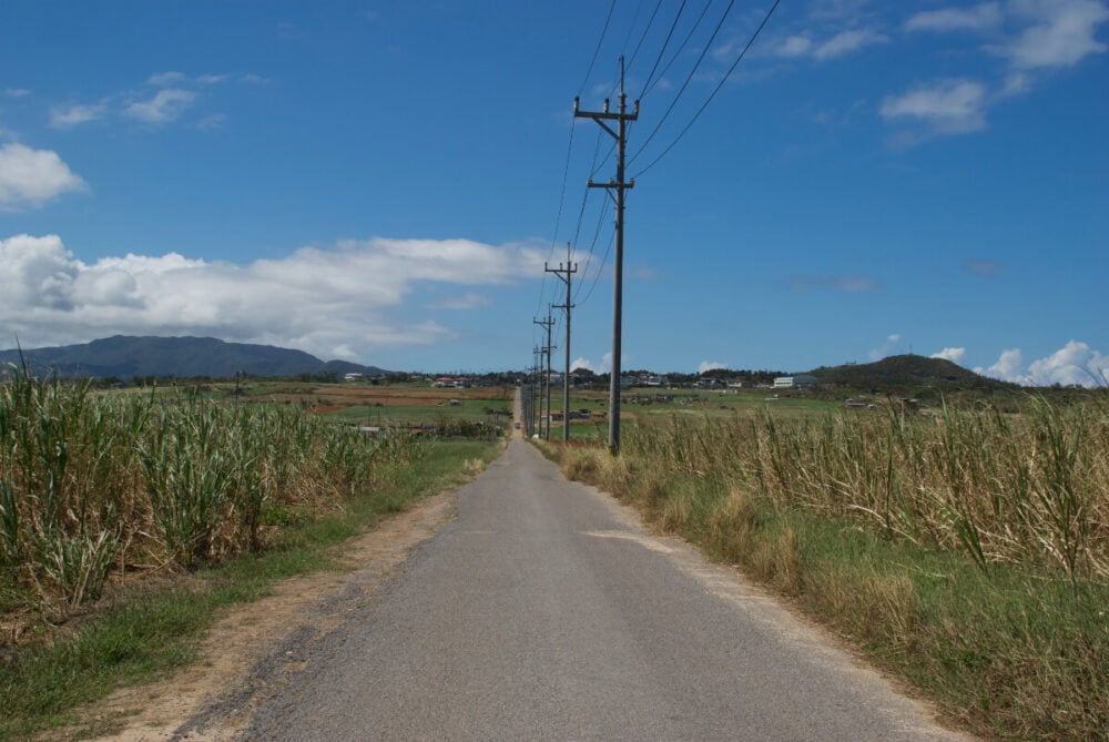 沖縄県竹富町「小浜島」のシュガーロードとサトウキビ畑