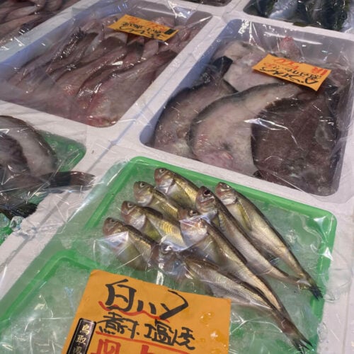 鳥取県琴浦町にある「道の駅ポート赤碕」に並ぶ白ハタや鮮魚