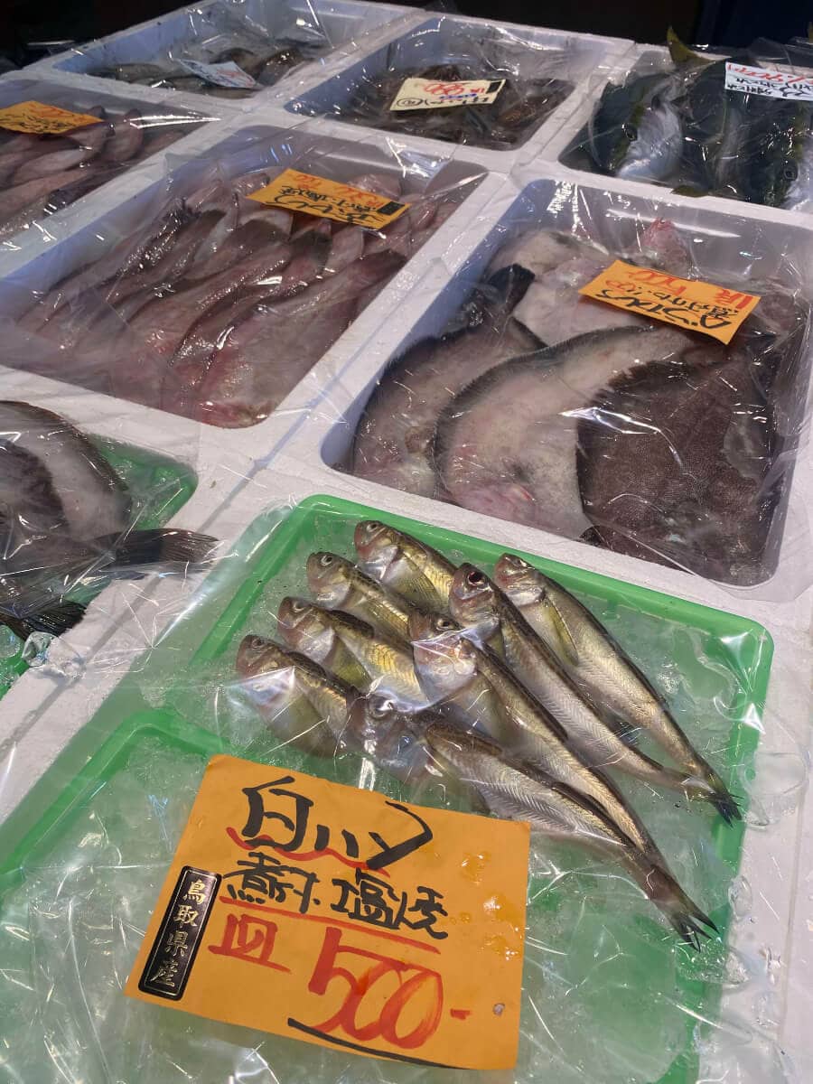 鳥取県琴浦町にある「道の駅ポート赤碕」に並ぶ白ハタや鮮魚