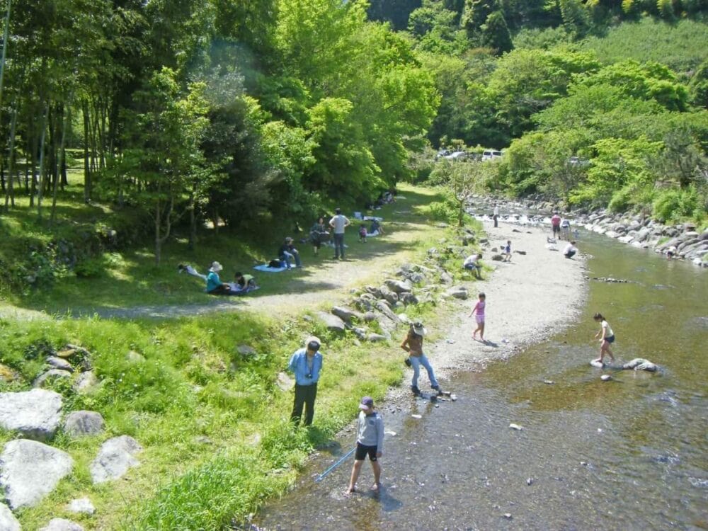 静岡県静岡市の森林公園