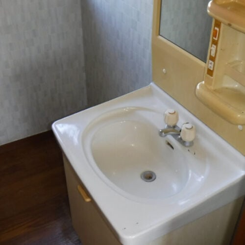 茨城県常陸大宮市の物件の2階洗面所