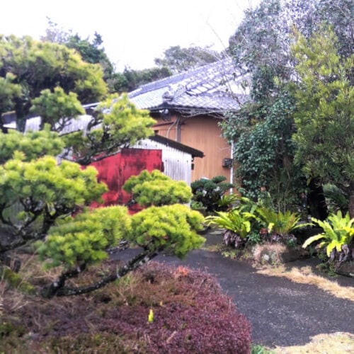 鹿児島県肝付町の敷地内には庭があり、様々な植木を楽しむことができる。