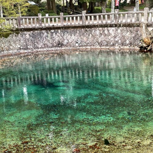 山口県美祢市の弁天池