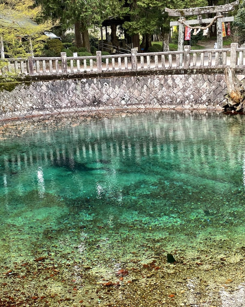 山口県美祢市の弁天池