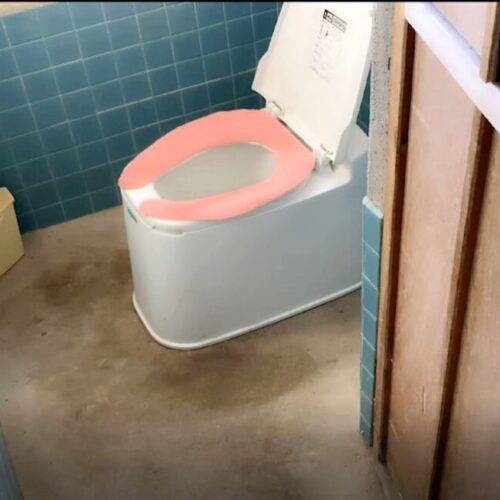 鳥取県倉吉市の物件のトイレ
