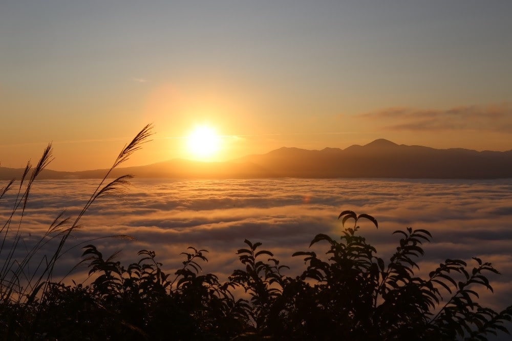 岩手県遠野市の高清水展望台から望む雲海