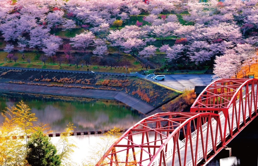 利根川の水をため、調節している「長柄ダム」があるエリアに立つ。春はサクラ、秋は紅葉に染まった山々を眺め、散策が楽しめる。