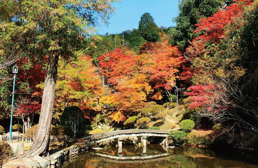 広島市の北部に位置する。面積の約8割を森林が占め、まちの中央を江の川が流れるなど、緑と水が調和した景観が美しい。標高200mの盆地型気候で寒暖の差が大きく、おいしい作物の宝庫。広島市から国道54号で約1時間。写真は郡山公園。