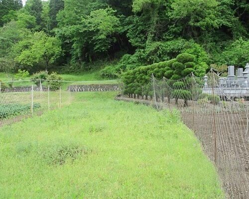 兵庫県佐用町の物件。家の正面玄関前には約66坪の畑があり、家庭菜園には充分。