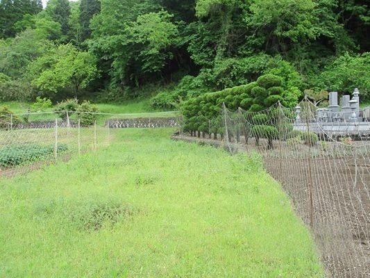 兵庫県佐用町の物件の畑
