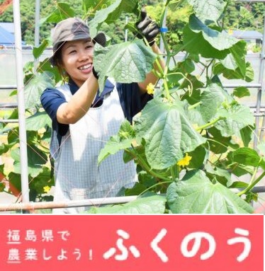農業研修の募集やモデルケースなどが掲載！　福島県の就農ポータルサイト「ふくのう」
