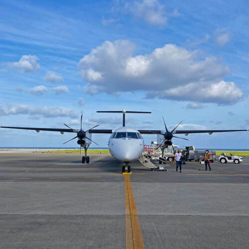 那覇空港と久米島空港を結ぶ琉球エアーコミューター。機内では客室乗務員が行き先の「島くとぅば（方言）」で挨拶をしてくれる。