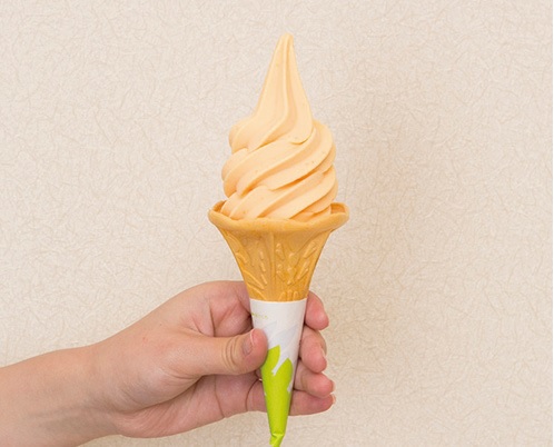 宮崎県えびの市の完熟きんかんソフトクリーム