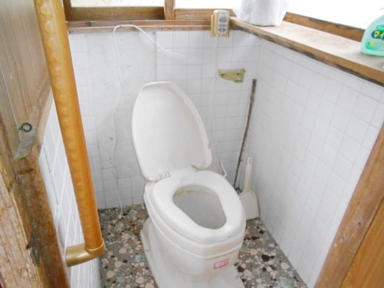 宮崎県えびの市の物件のトイレ