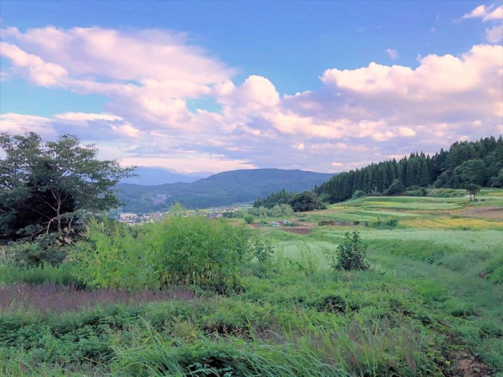 長野県飯綱町の物件からの風景