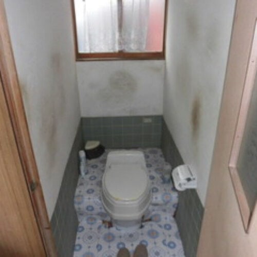 茨城県北茨城市の物件のトイレ