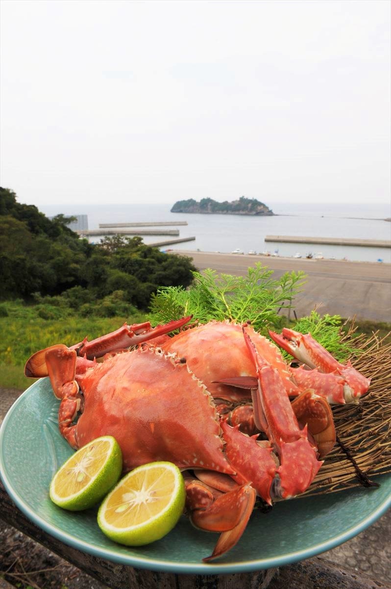 大分県豊後高田市の特産品「岬ガザミ」