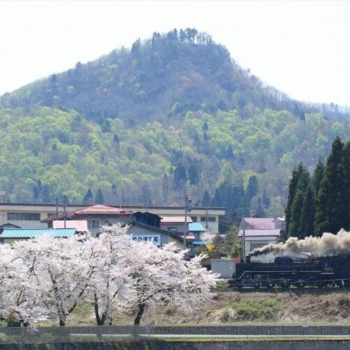 福島県西会津町の磐越西線＆桜