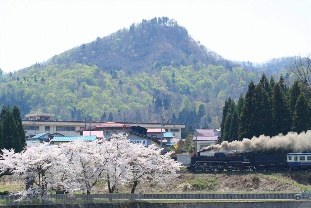 福島県西会津町の磐越西線＆桜