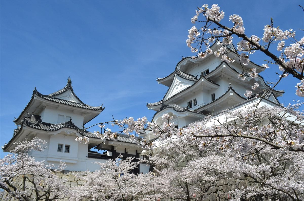 伊賀市の市内中心部にそびえる「白鳳城」こと伊賀上野城