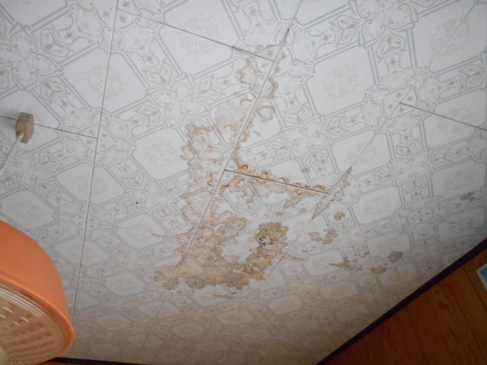 宮崎県えびの市の物件の天井のシミは補修が必要。