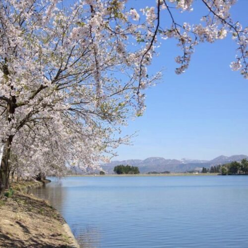 山形県尾花沢市の徳良湖