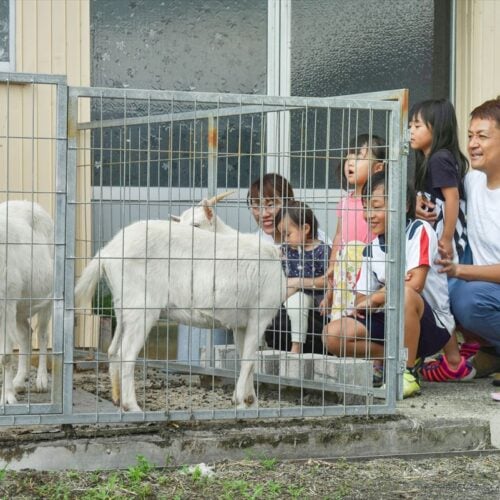 三重県伊賀市へ移住し近所のヤギと触れ合う