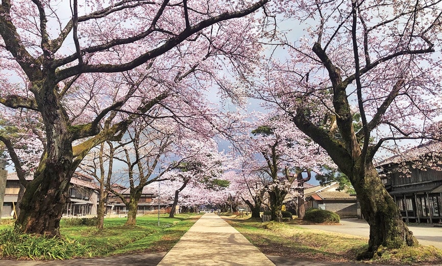 山形県鶴岡市の松ヶ岡開墾場