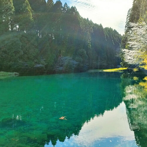 宮崎県えびの市にある陣の池。