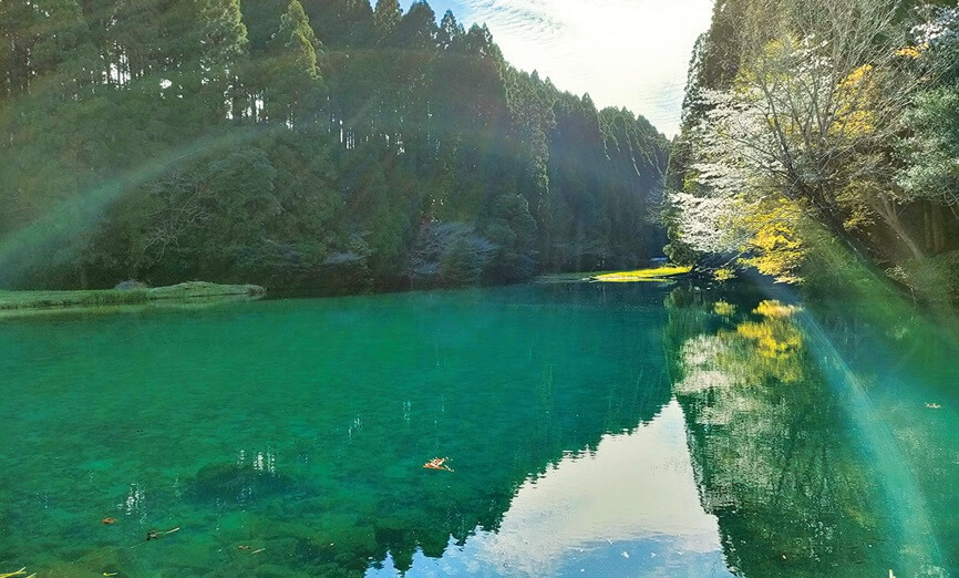 宮崎県えびの市にある陣の池。