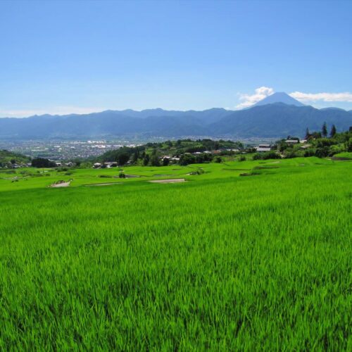 山梨県南アルプス市の「中野の棚田」