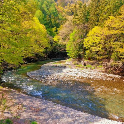 長野県塩尻市の「池の権現キャンプ場」脇を流れる奈良井川