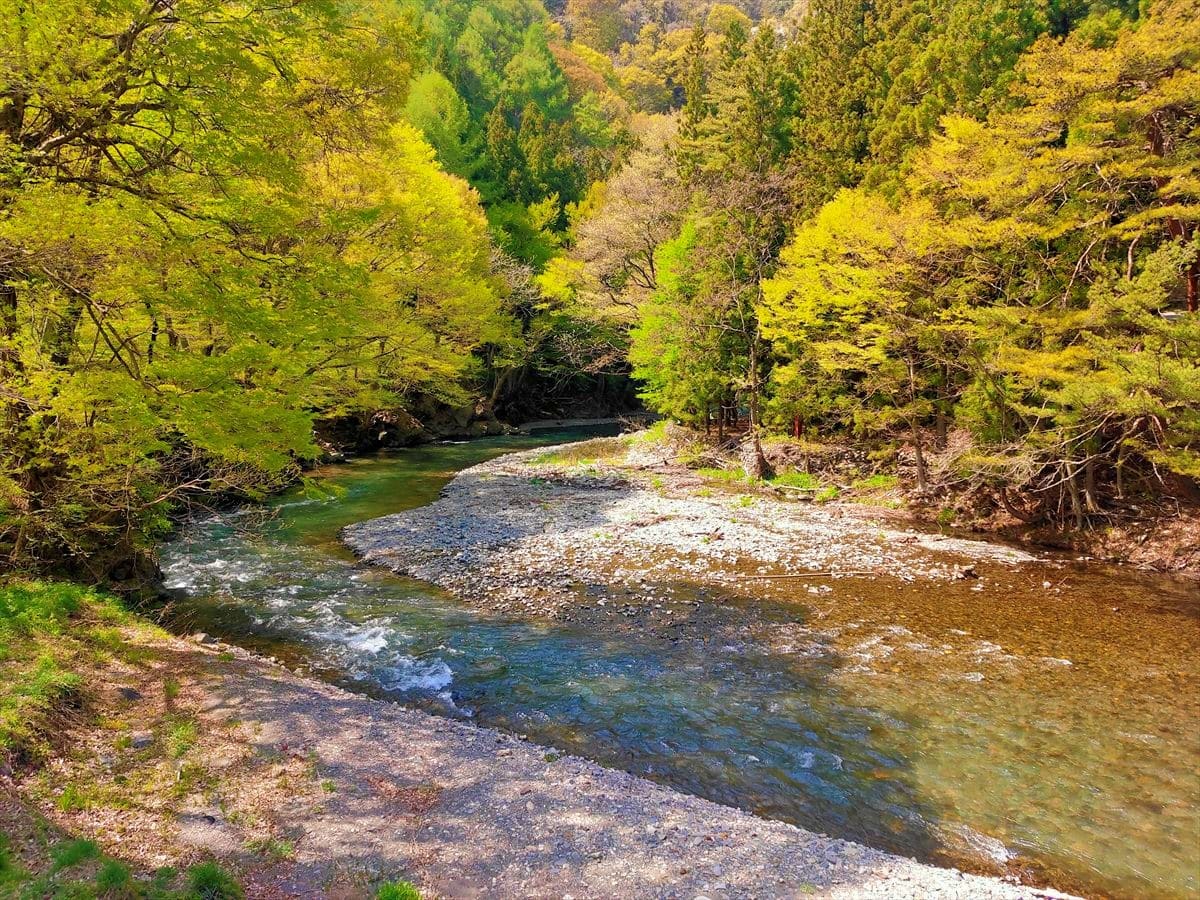長野県塩尻市の「池の権現キャンプ場」脇を流れる奈良井川