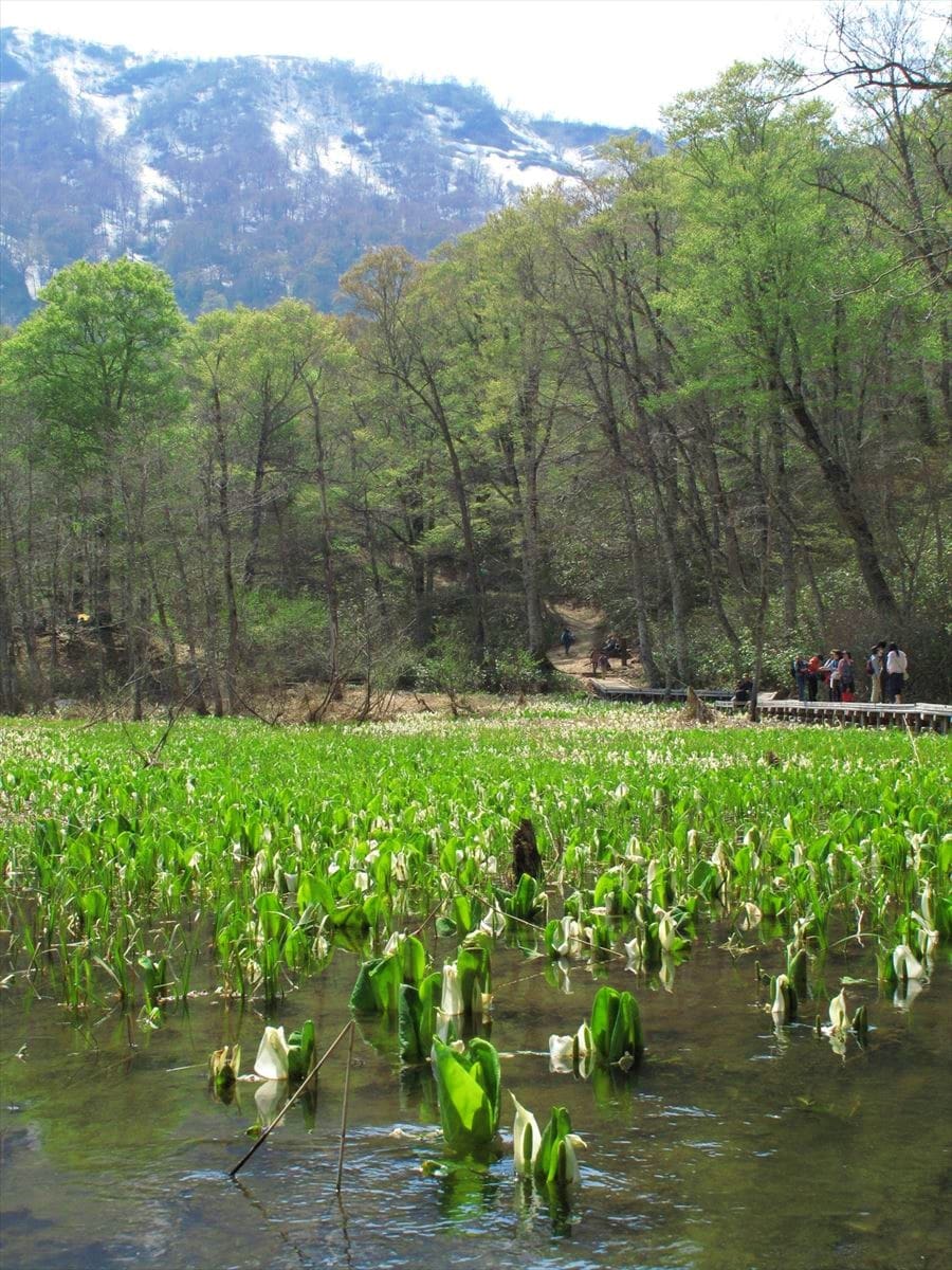 長野県長野市の奥裾花自然園